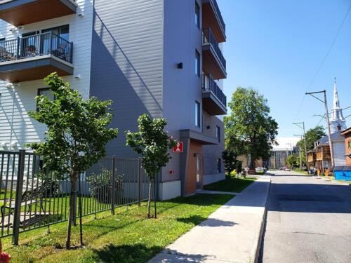 Vue de la rue St-Paul